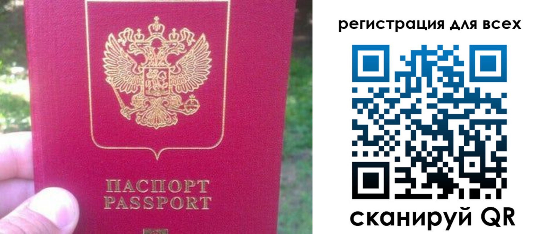 регистрация для школы в Домодедово